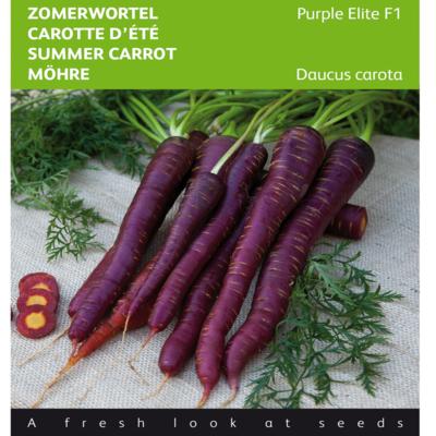 daucus-carota-purple-elite-f1