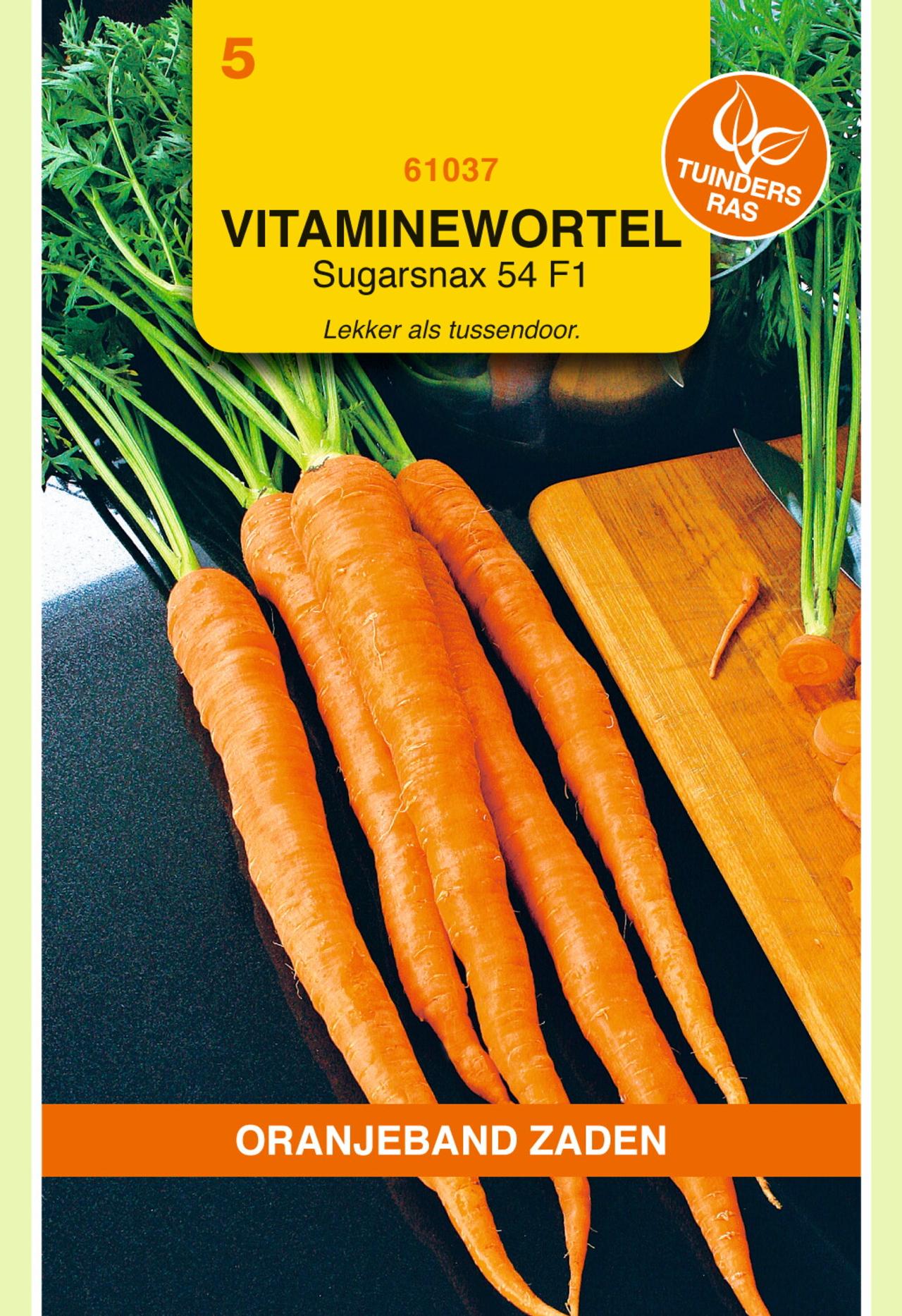 daucus-carota-sugarsnax-54-f1 Daucus carota 'Sugarsnax 54 F1' plant