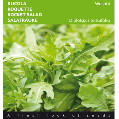 diplotaxis-tenuifolia-wasabi