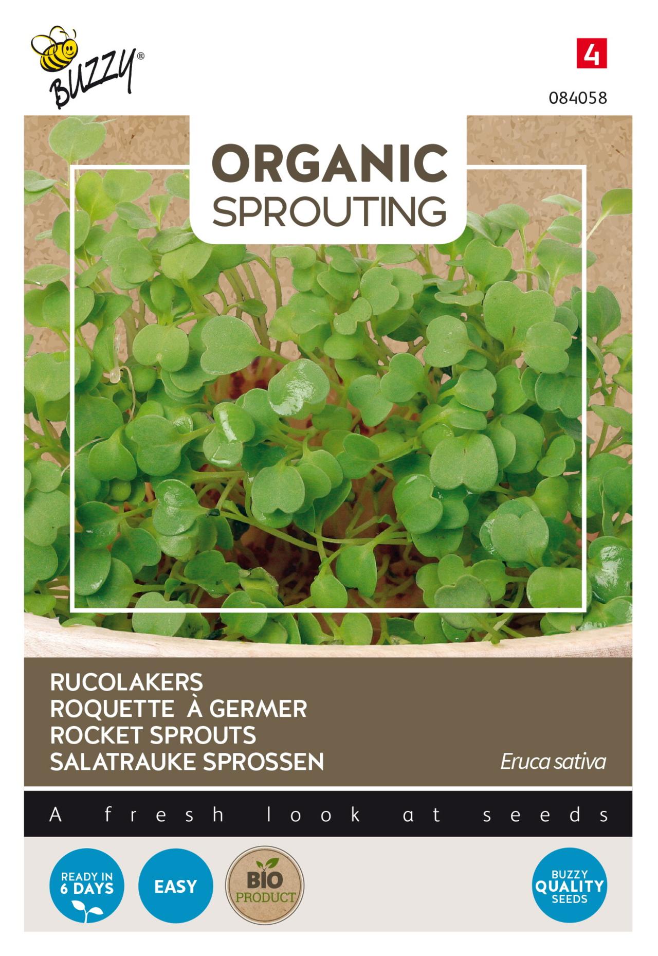 Eruca sativa Sprouting Rucolakers (BIO) plant