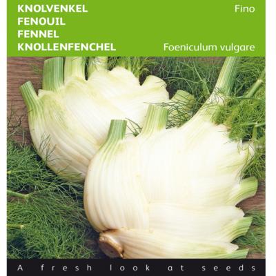 foeniculum-vulgare-fino