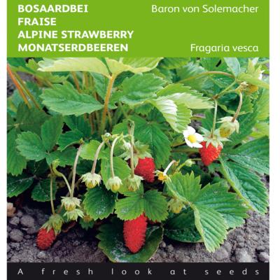 fragaria-vesca-baron-von-solemacher