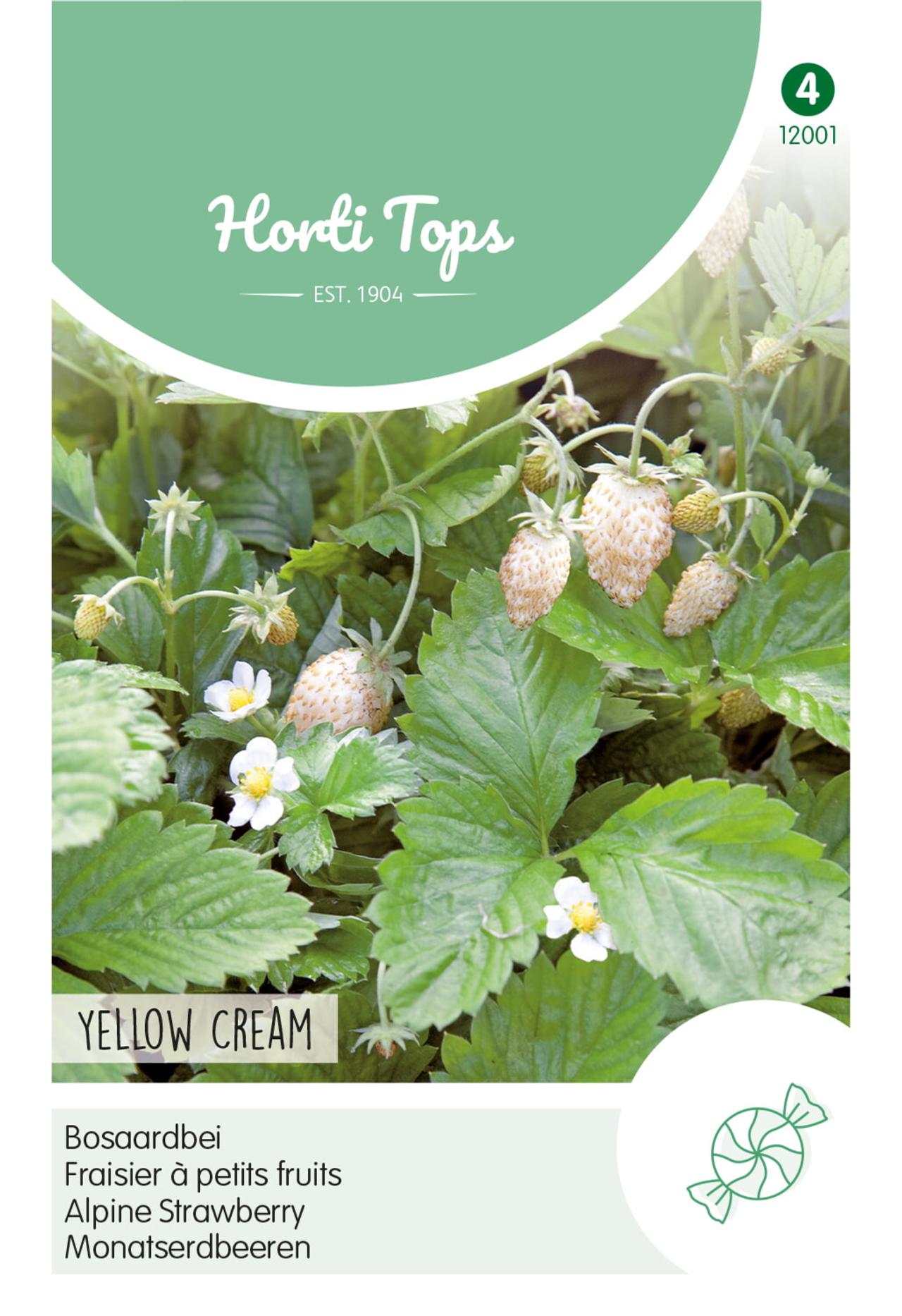 Fragaria alpine Vesca - Petite Pâtissière - Les Jardins Gourmands Inc.