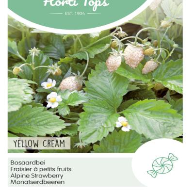 fragaria-vesca-yellow-cream