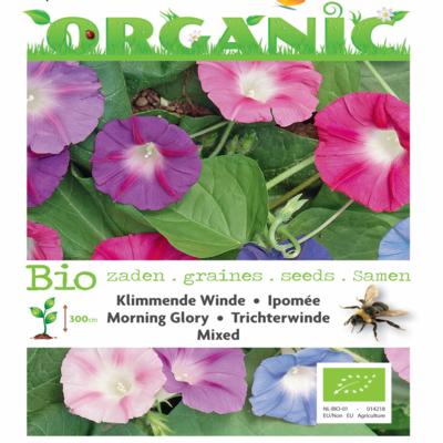 ipomoea-purpurea-bio