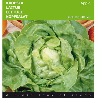 lactuca-sativa-appia