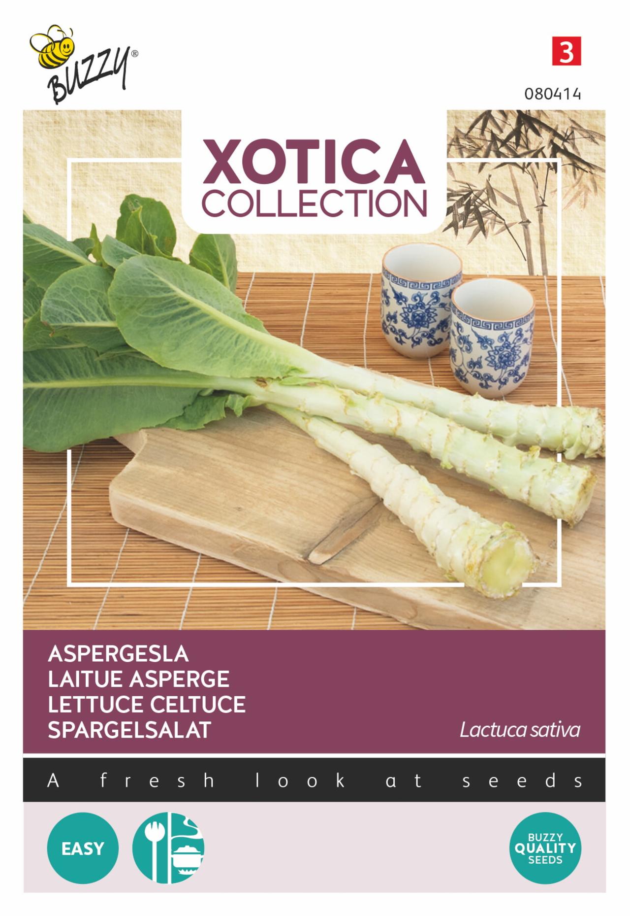 Lactuca sativa 'Aspergesla' plant