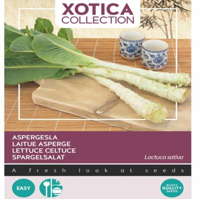 lactuca-sativa-aspergesla