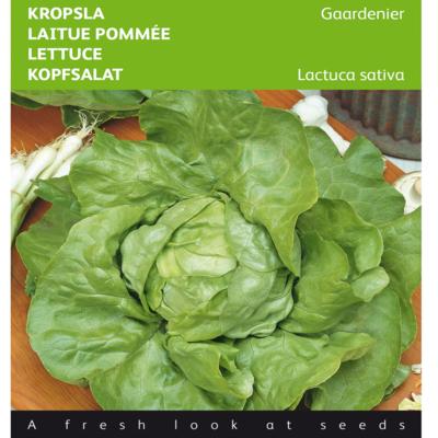 lactuca-sativa-gaardenier