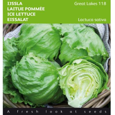 lactuca-sativa-great-lakes-118