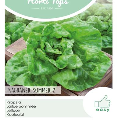 lactuca-sativa-kagraner-sommer-2