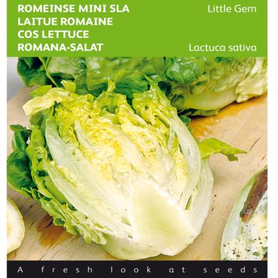 lactuca-sativa-little-gem