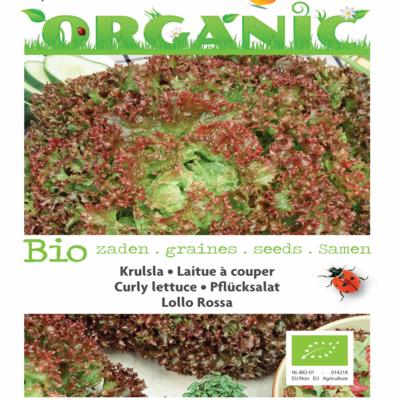 lactuca-sativa-lollo-rossa-bio