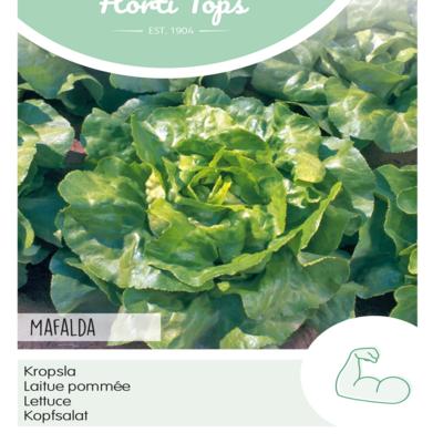 lactuca-sativa-mafalda