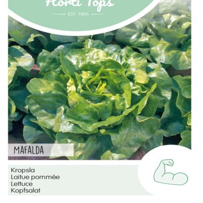 lactuca-sativa-mafalda