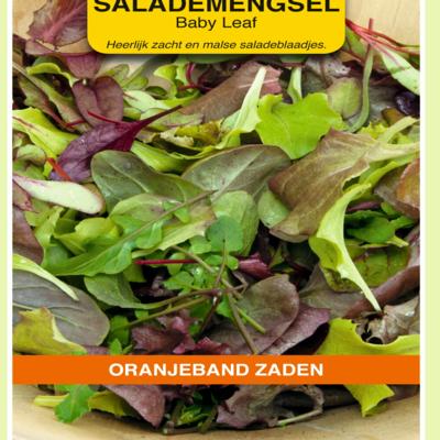 lactuca-sativa-mengsel-babyleaf