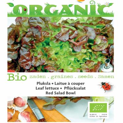 lactuca-sativa-red-salad-bowl-bio