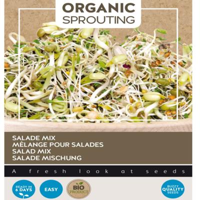 lactuca-sativa-sprouting-salademengsel-bio