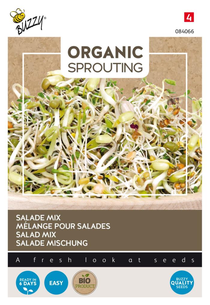 Lactuca sativa 'Sprouting Salademengsel' (BIO) plant