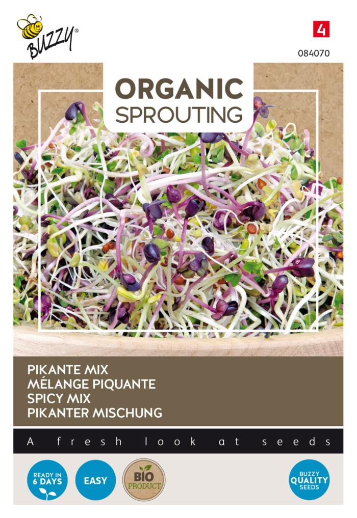 Lactuca sativa 'Sprouting Salademengsel pikant' (BIO) plant