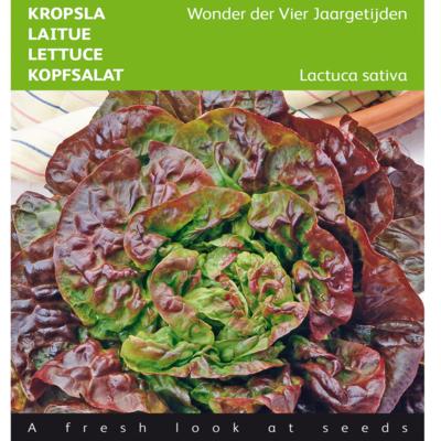 lactuca-sativa-wonder-der-vier-jaargetijden