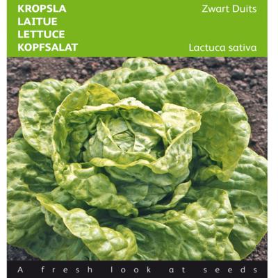 lactuca-sativa-zwart-duits