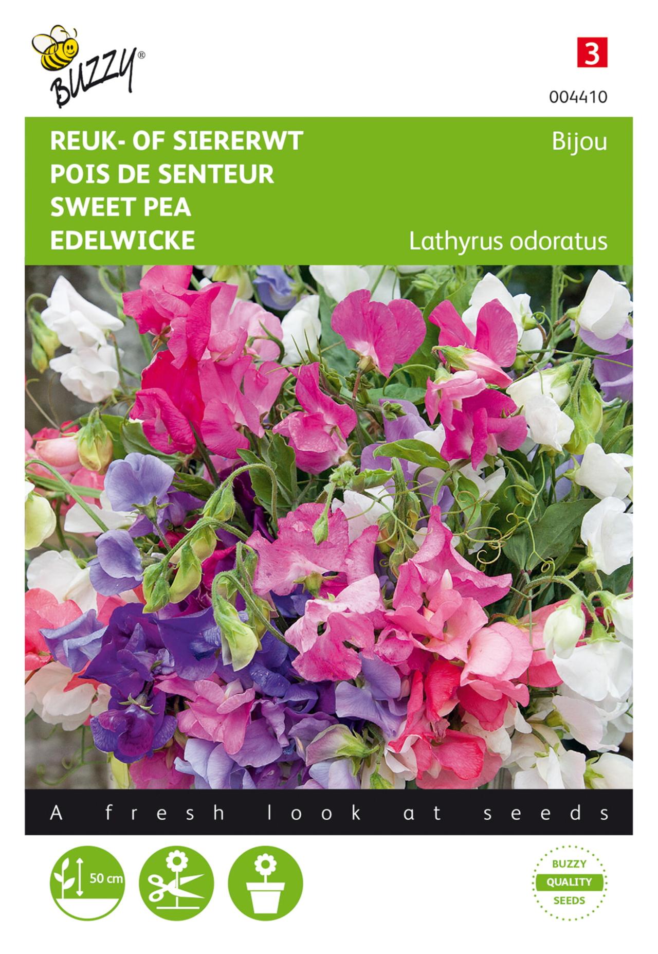 Lathyrus odoratus 'Bijou' plant