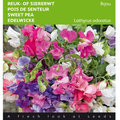 lathyrus-odoratus-bijou