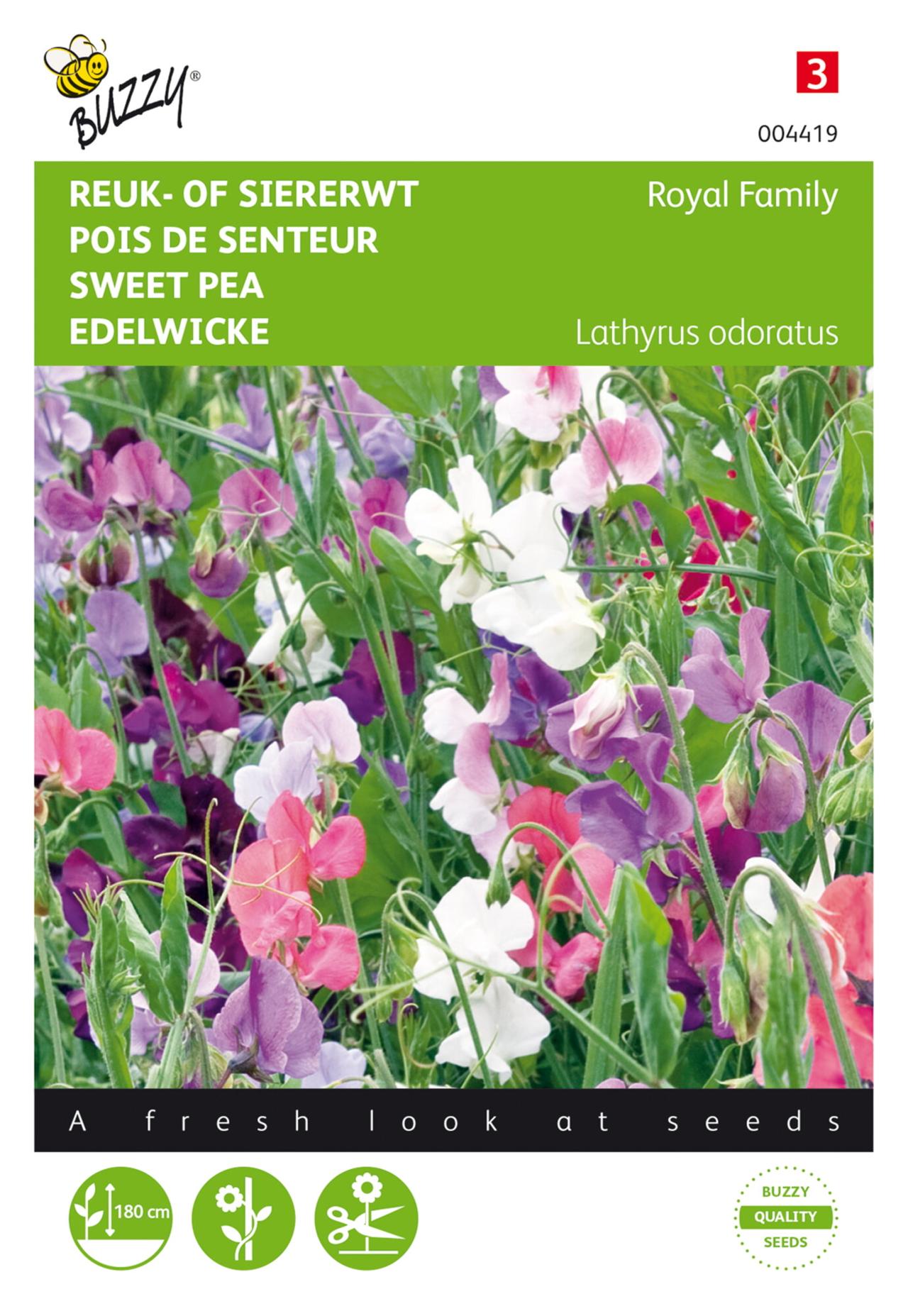 Lathyrus odoratus 'Royal Family gemengd' plant