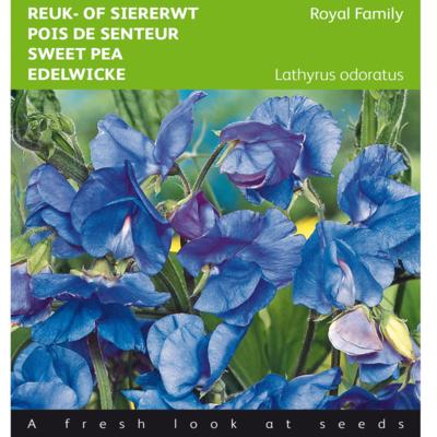 lathyrus-odoratus-royal-family