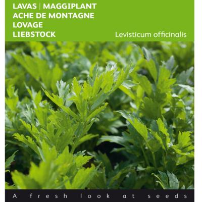 levisticum-officinale