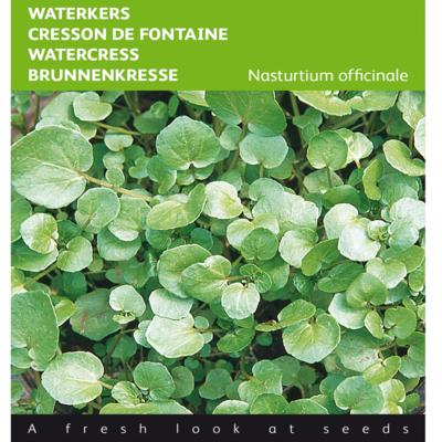 nasturtium-officinalis