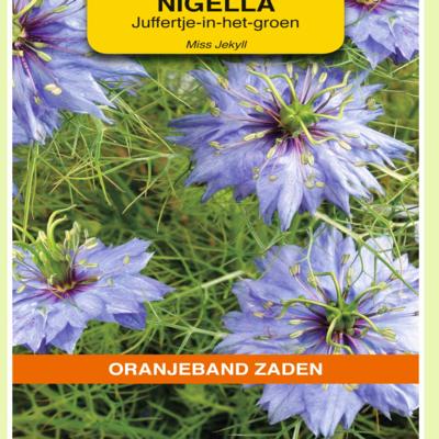 nigella-damascena-miss-jekyll