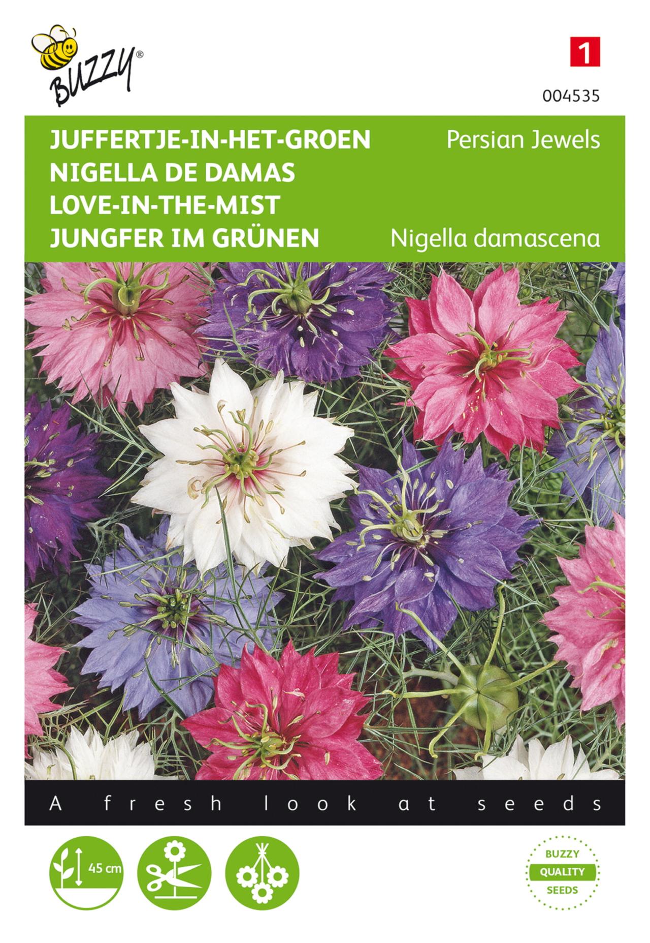 Nigella damascena 'Persian Jewels' plant