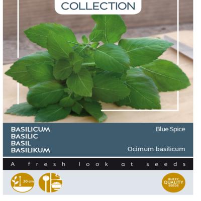 ocimum-americanum-x-ocimum-basilicum-blue-spice