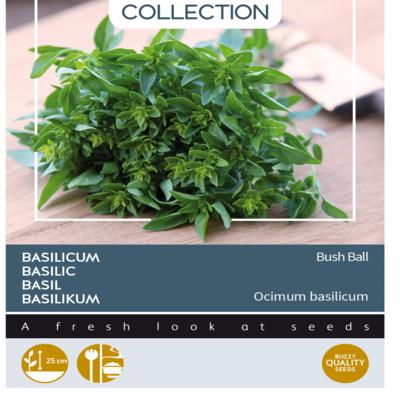 ocimum-basilicum-greek-basil-bush-ball