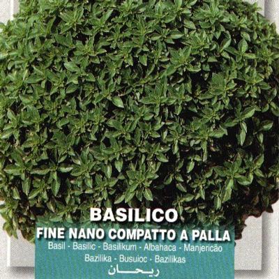 ocimum-basilicum-nanopalla