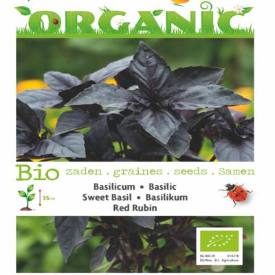 ocimum-basilicum-red-rubin-bio