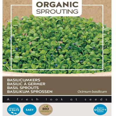 ocimum-basilicum-sprouting-basilicumkers-bio