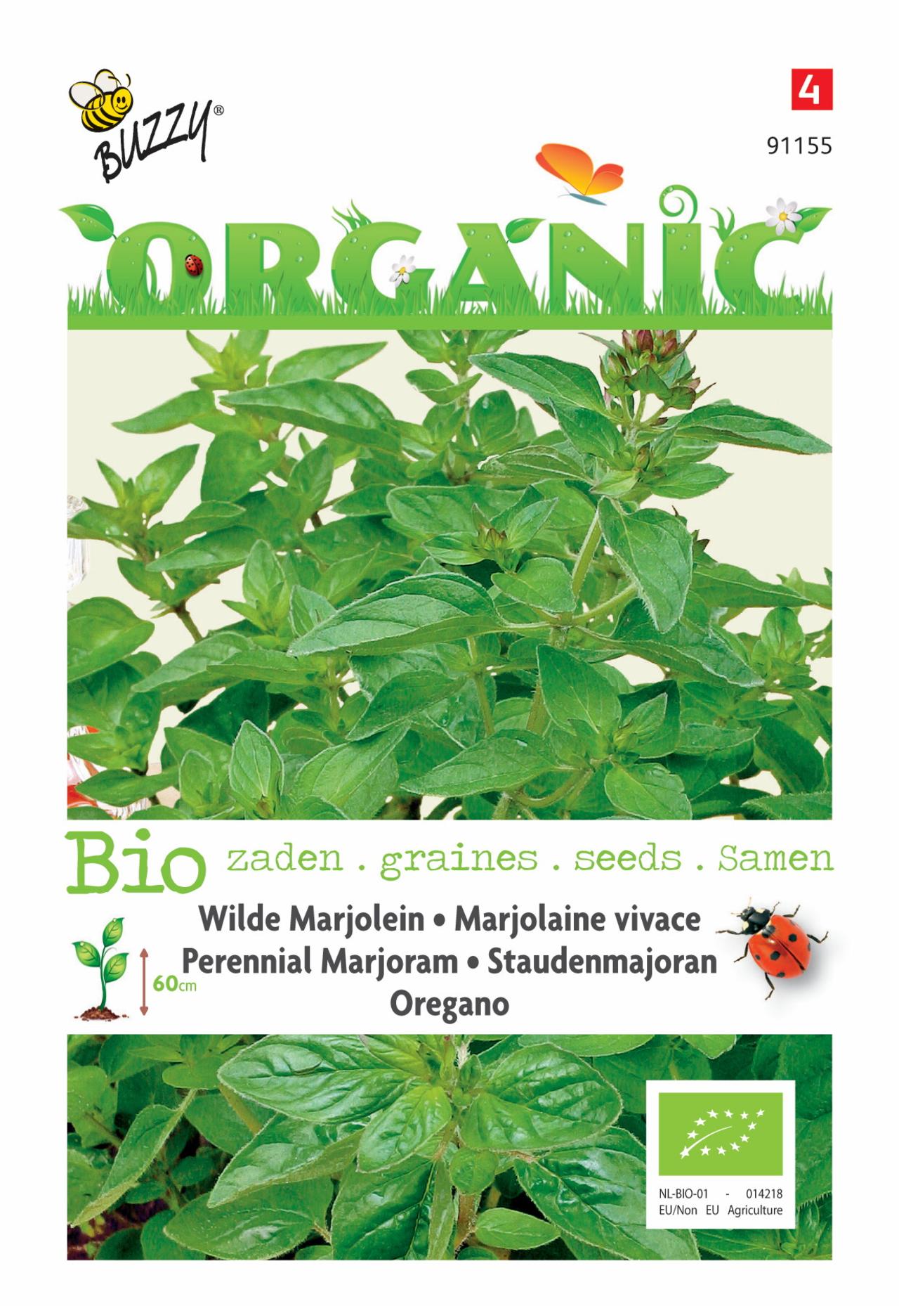 Origanum vulgare (BIO) plant