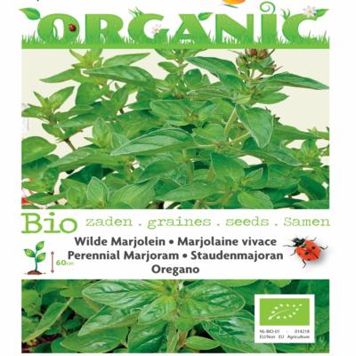 origanum-vulgare-bio