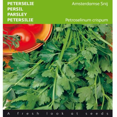 petroselinum-crispum-amsterdamse-snij