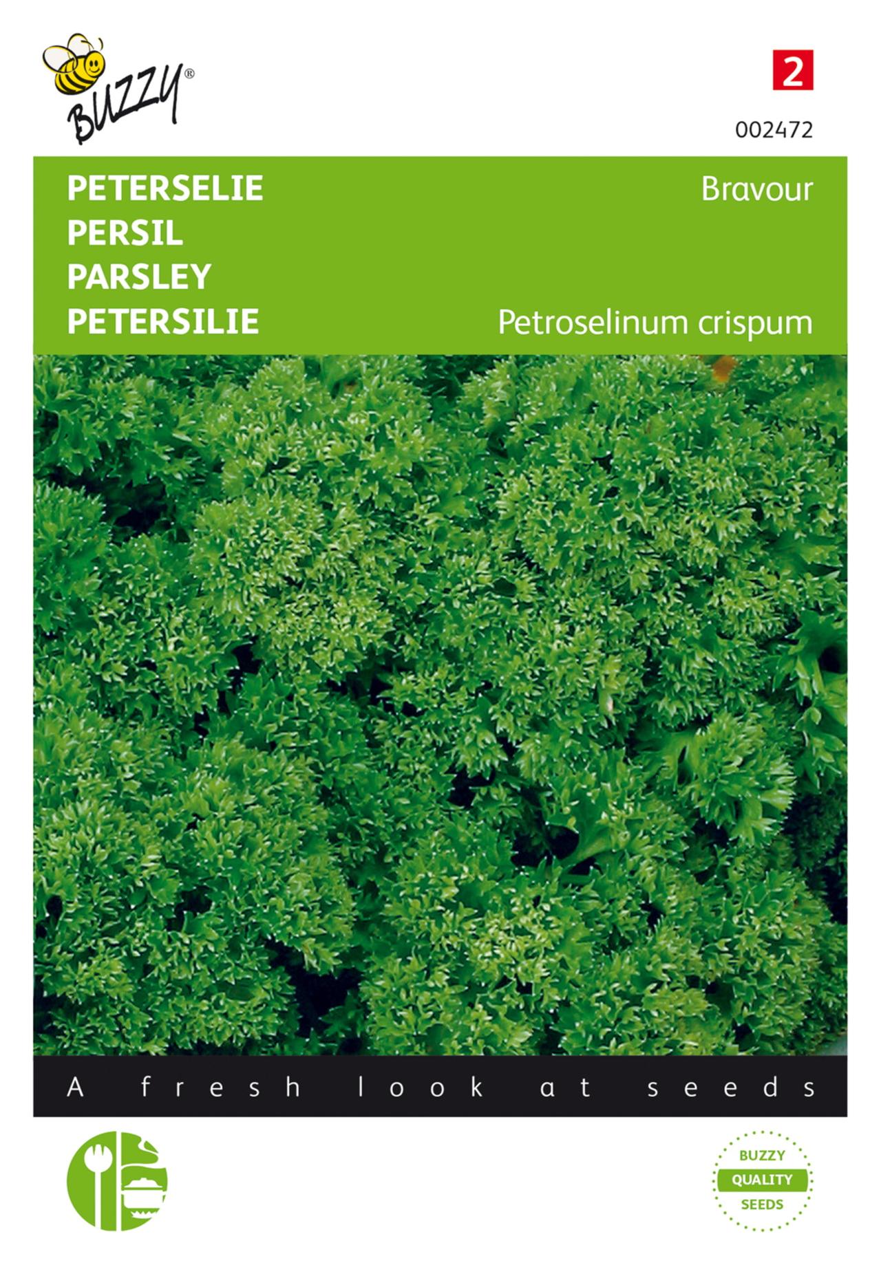 Petroselinum crispum 'Bravour' plant