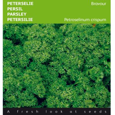 petroselinum-crispum-bravour