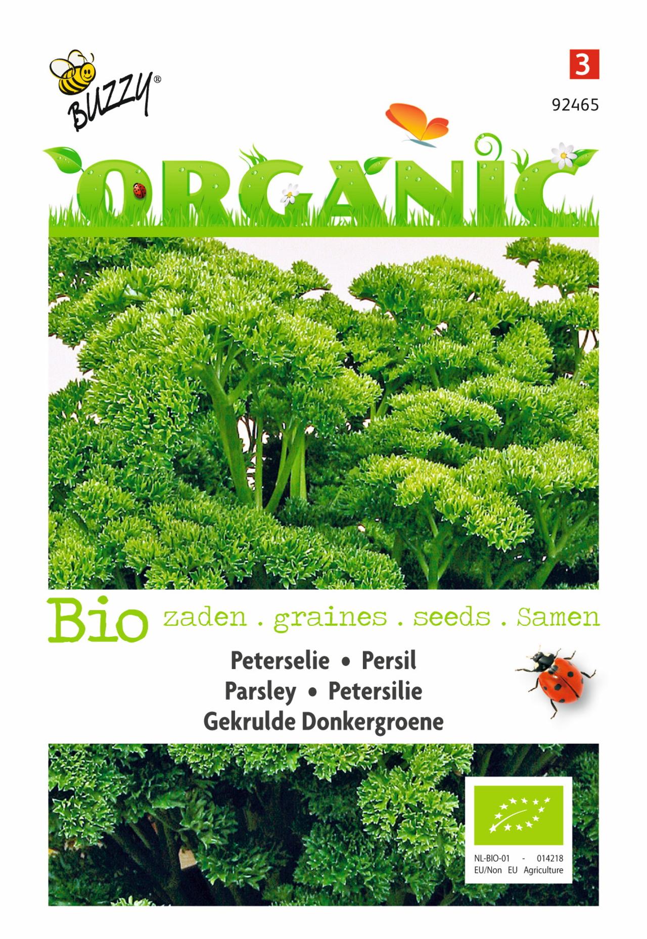 Petroselinum crispum 'Gekrulde Donkergroene' (BIO) plant