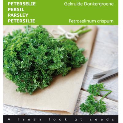 petroselinum-crispum-gekrulde-donkergroene