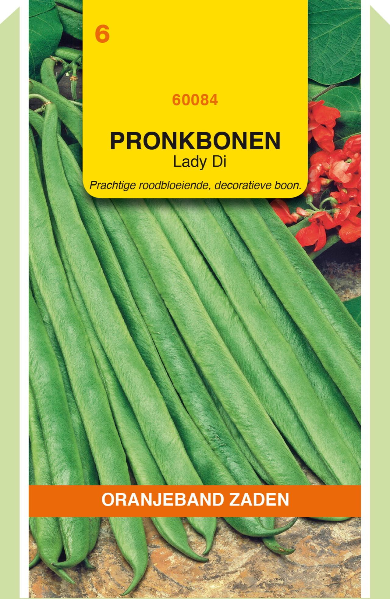 Phaseolus coccineus 'Lady Di' plant