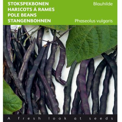 phaseolus-vulgaris-blauhilde