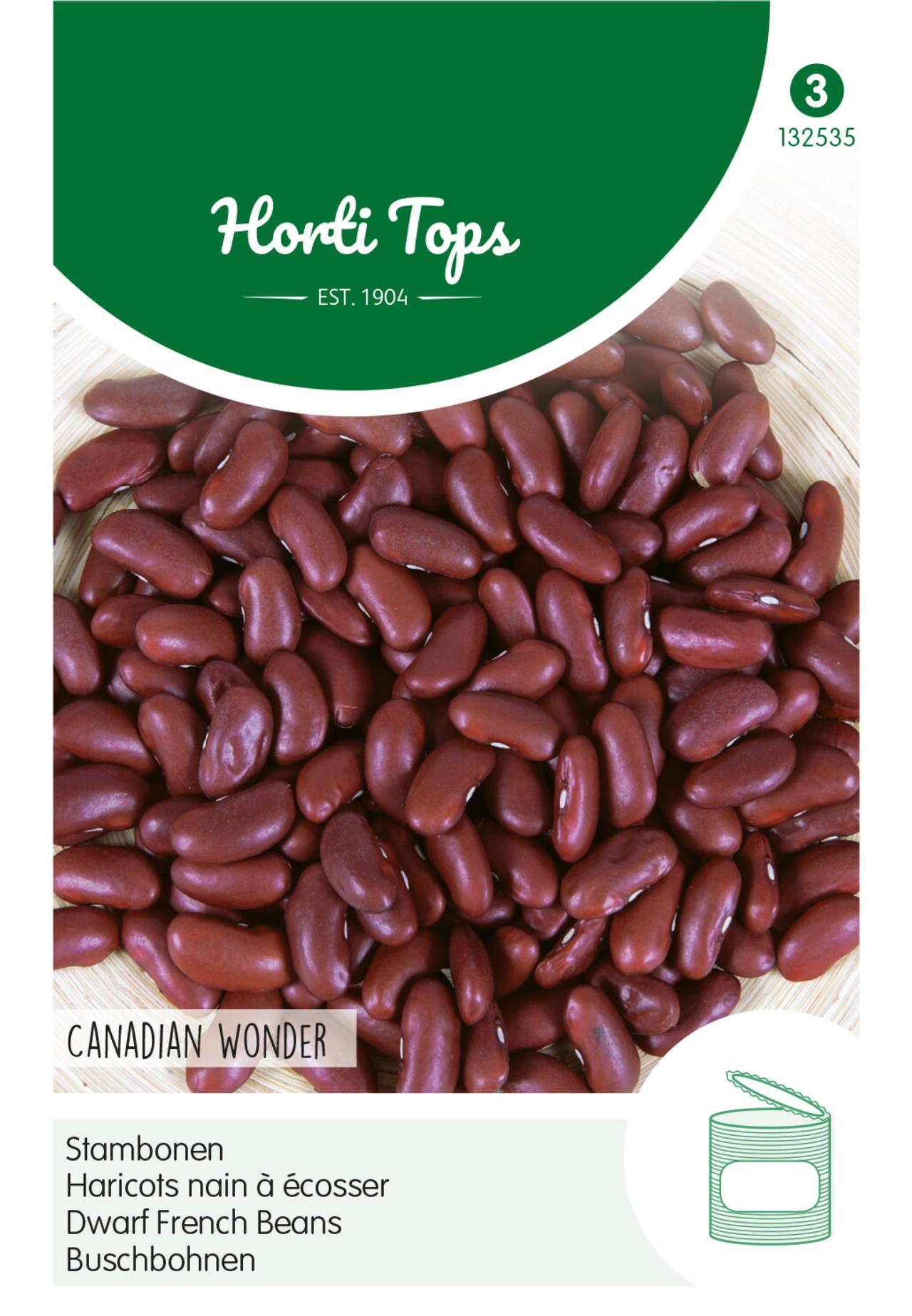 phaseolus-vulgaris-canadian-wonder Phaseolus vulgaris 'Canadian Wonder' plant