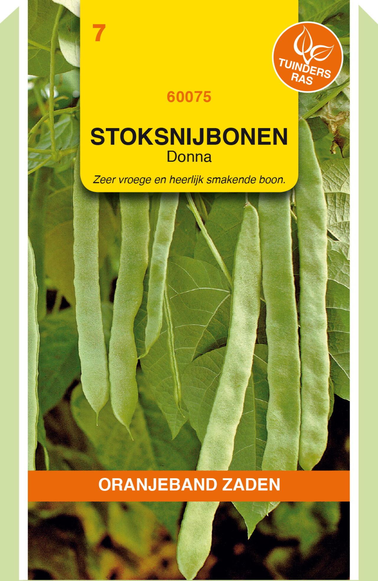 Phaseolus vulgaris 'Donna' plant